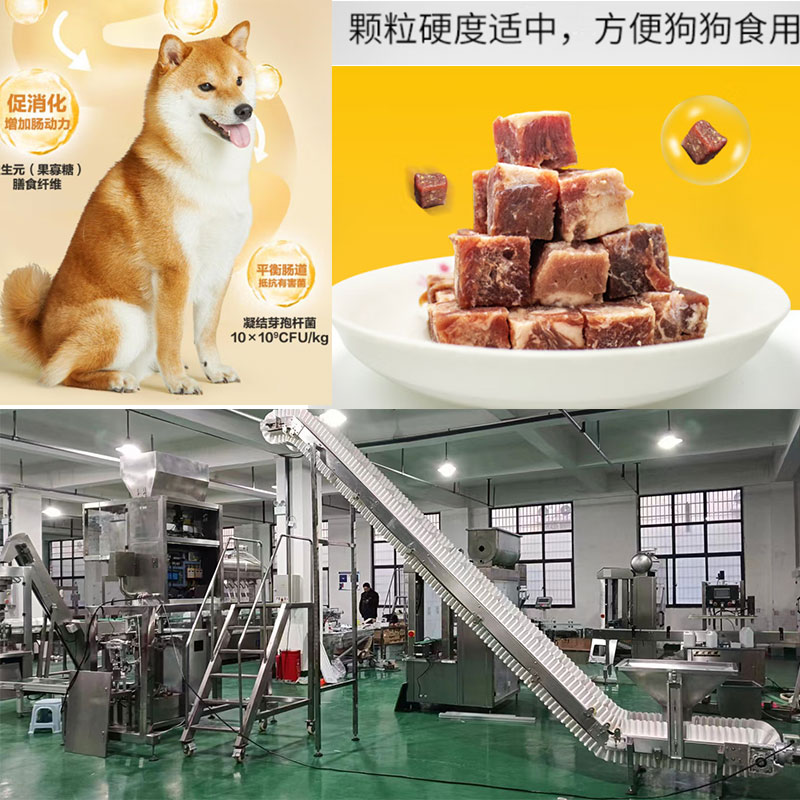寵物91短视频版在线观看WWW免费設備